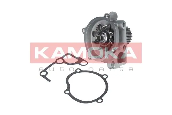 T0170 Kamoka