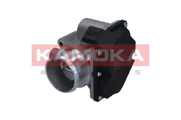 112032 Kamoka Mariposa de admisión