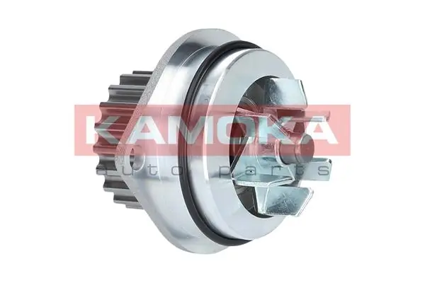 T0080 Kamoka