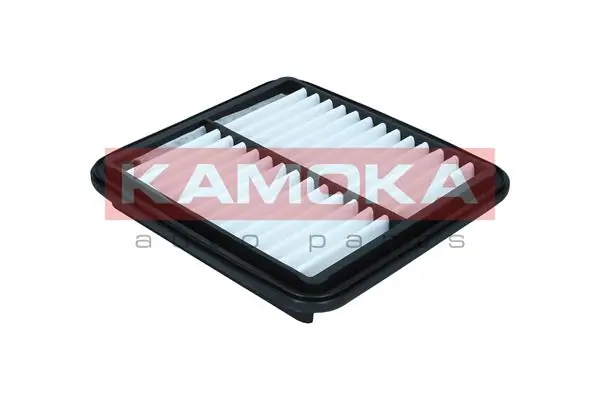 F254601 Kamoka