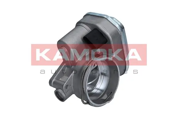 112002 Kamoka