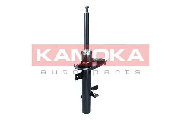 2001091 Kamoka