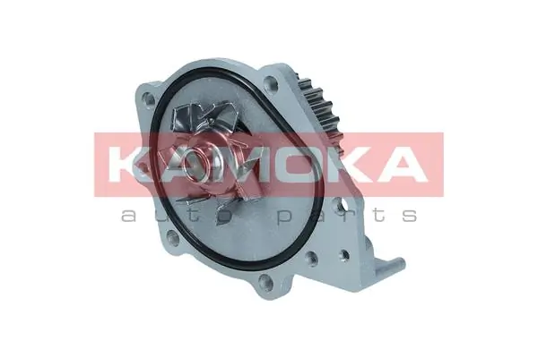 T0174 Kamoka