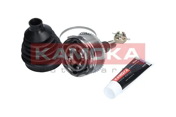 6011 Kamoka