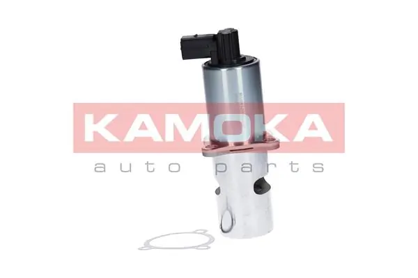19010 Kamoka Válvula EGR