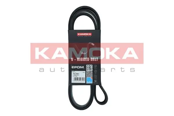 7017021 Kamoka
