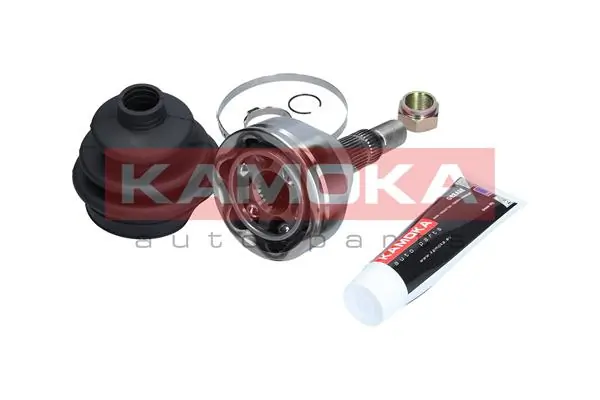 6013 Kamoka