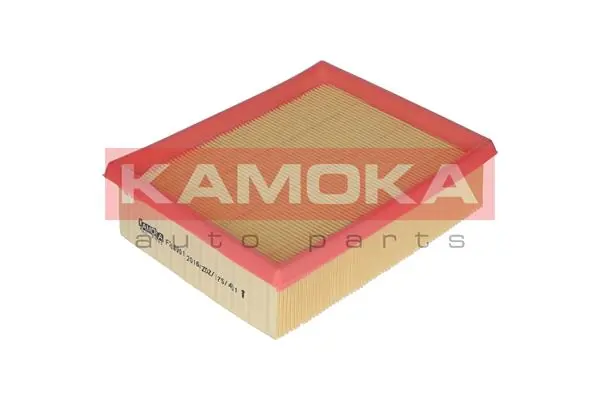 F208901 Kamoka