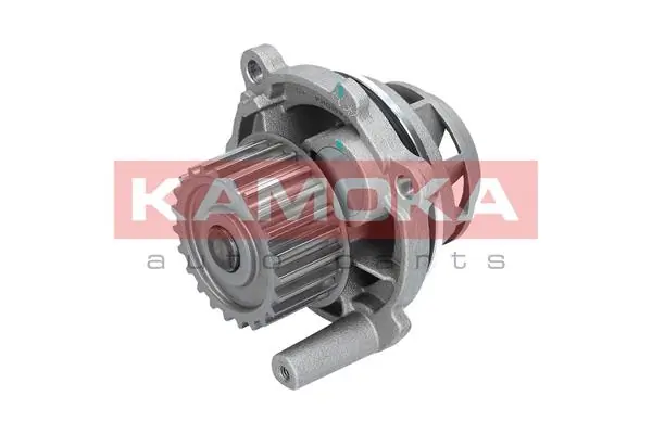 T0028 Kamoka