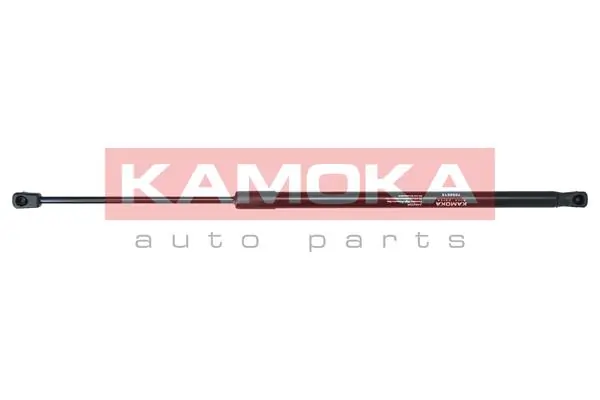 7092613 Kamoka