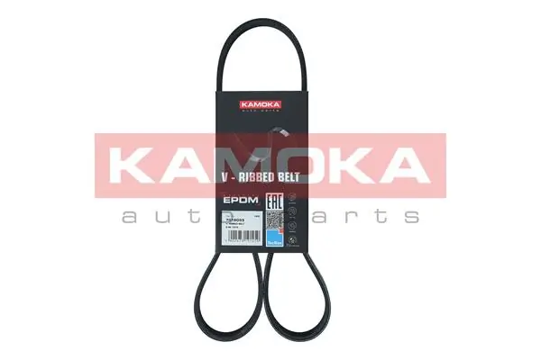 Correa poly v Volkswagen Golf IV (1999-2006)