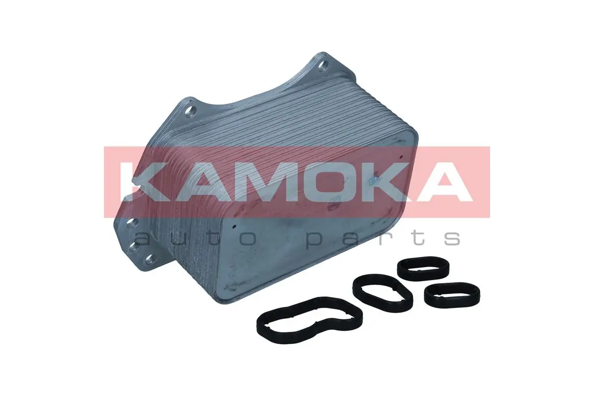7730118 Kamoka