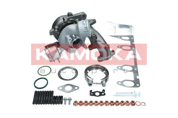 8600011 Kamoka