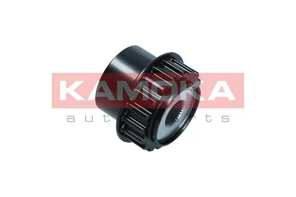 RC100 Kamoka