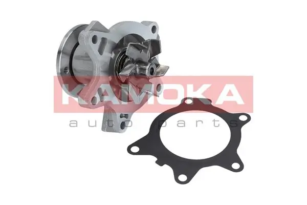 T0204 Kamoka