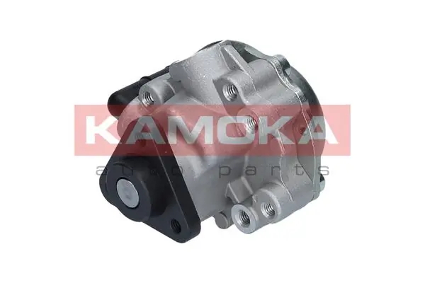 PP038 Kamoka