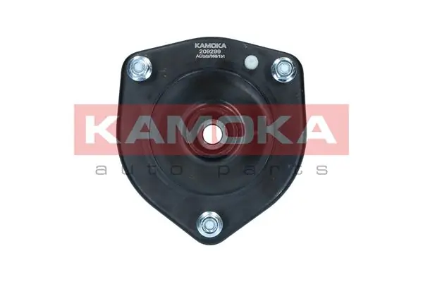 209299 Kamoka