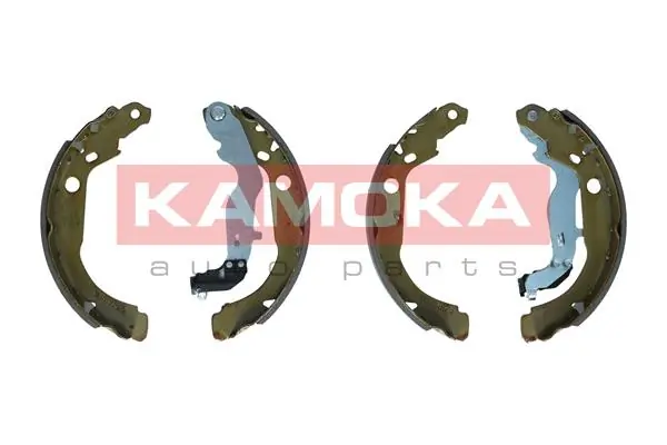 JQ202090 Kamoka