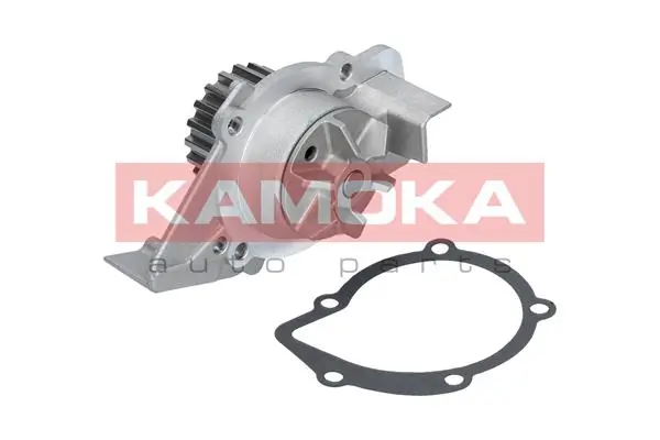 T0099 Kamoka