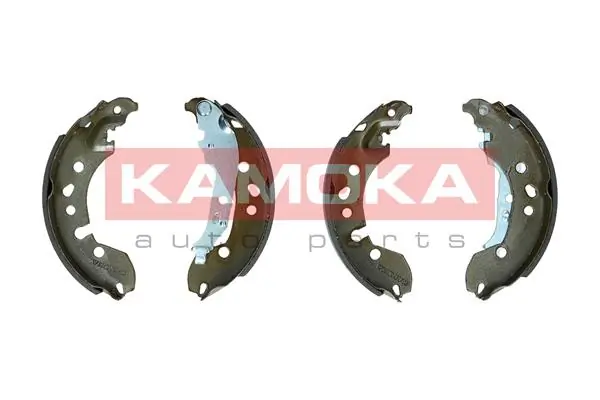 JQ202099 Kamoka