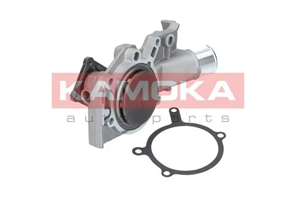 T0139 Kamoka