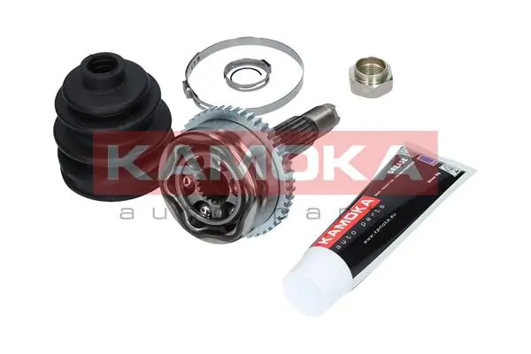 6090 Kamoka