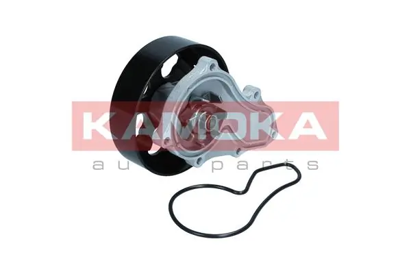 T0304 Kamoka