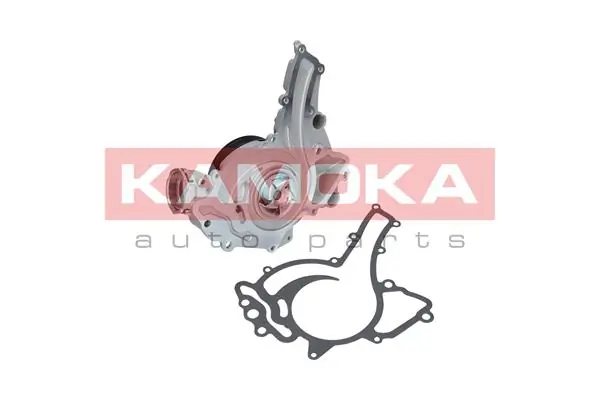 T0192 Kamoka