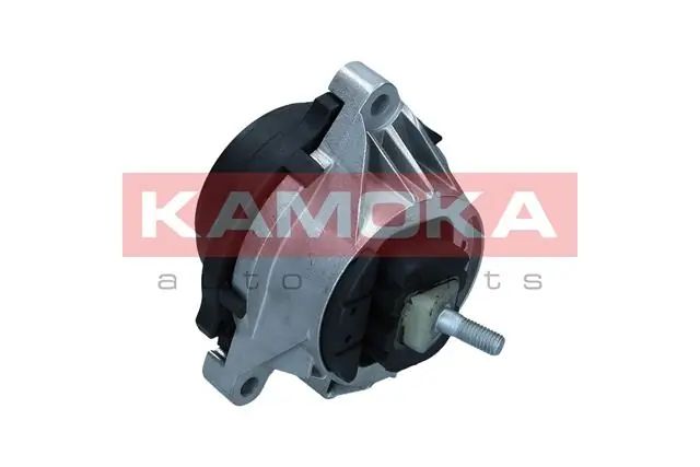 890953 Kamoka