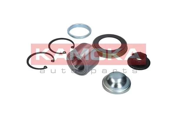 Cojinete de rueda trasero Ford Focus 1 DAW, DBW