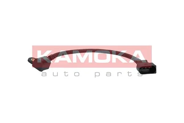 108017 Kamoka