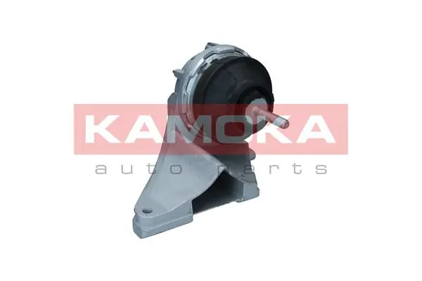 890649 Kamoka