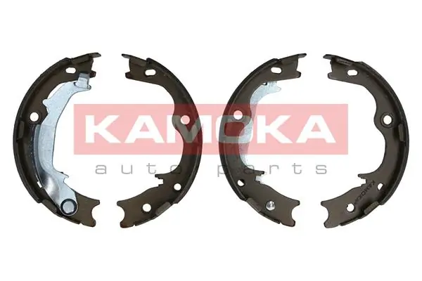 JQ212056 Kamoka