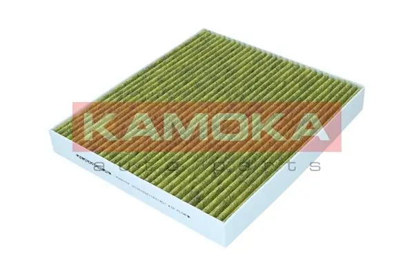 6080138 Kamoka