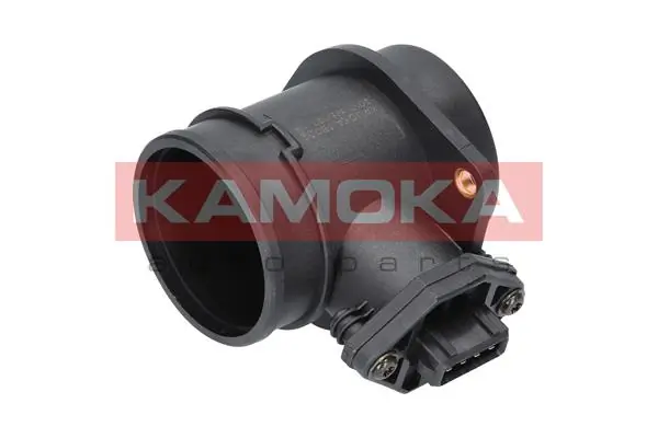 18002 Kamoka