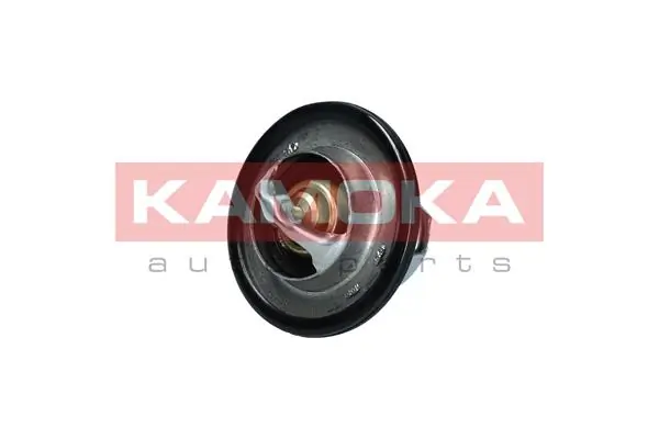 Termostato Renault (RVI) 2120000Q0B precio, desde 6,90 EUR