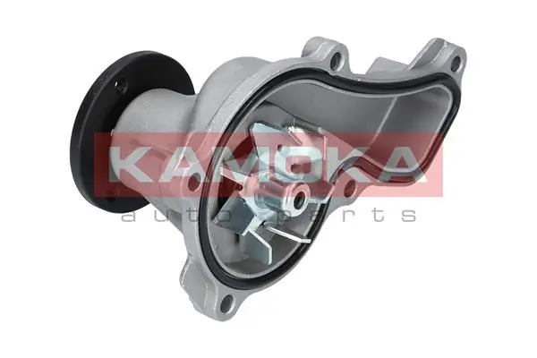 T0151 Kamoka