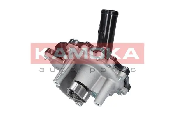 T0096 Kamoka
