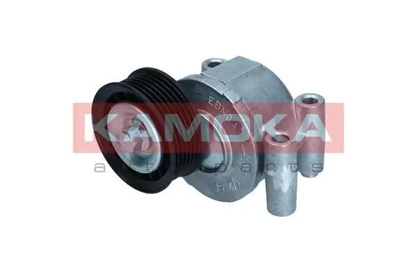 Tensor de la correa trapecial poli v Ford Focus II (CA5)
