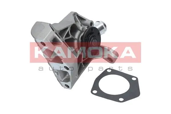 T0257 Kamoka