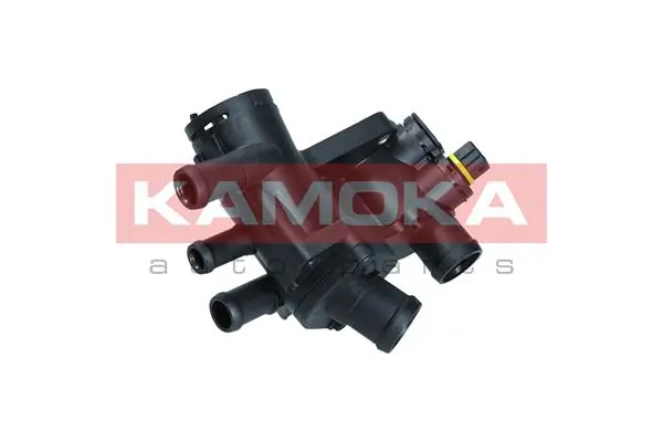 7710259 Kamoka