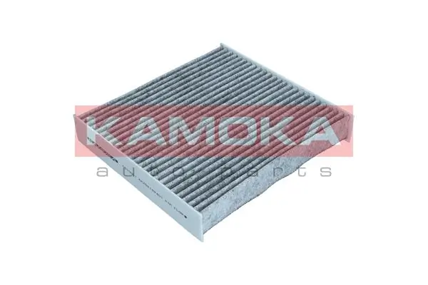 F510601 Kamoka Filtro antipolen