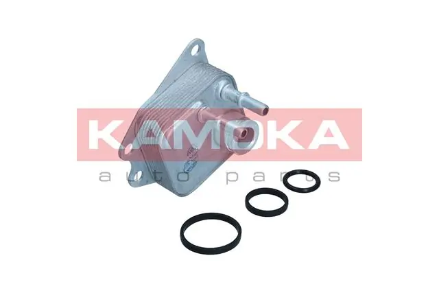 7730168 Kamoka