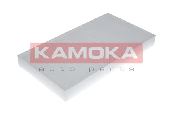 F410101 Kamoka