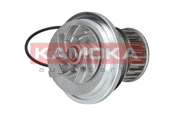 T0228 Kamoka