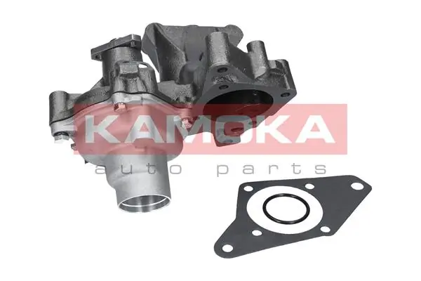 T0121 Kamoka