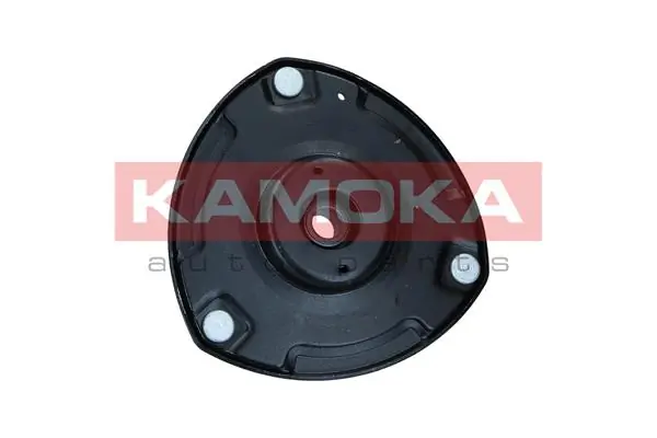 209206 Kamoka
