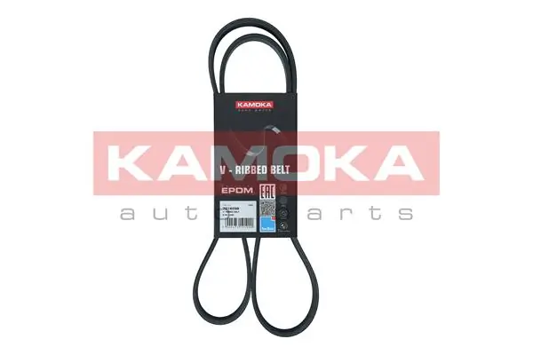 55570508 General Motors Correa poly v
