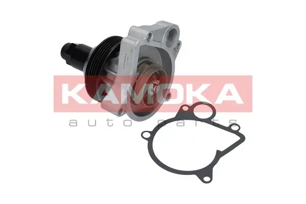 T0062 Kamoka