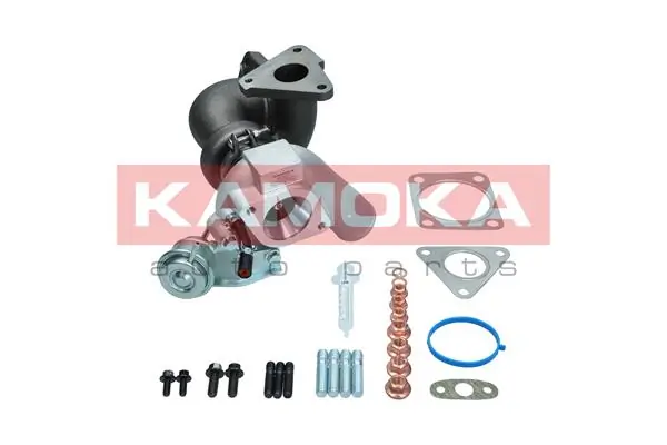 8600061 Kamoka